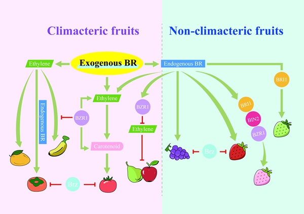 e00549437d5b4036a25c36c855db1018.jpg 图1_副本.jpg