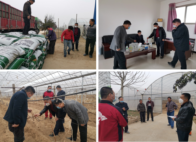 edab69acb150457784a1d74b448cb44a.png edab69acb150457784a1d74b448cb44a.png