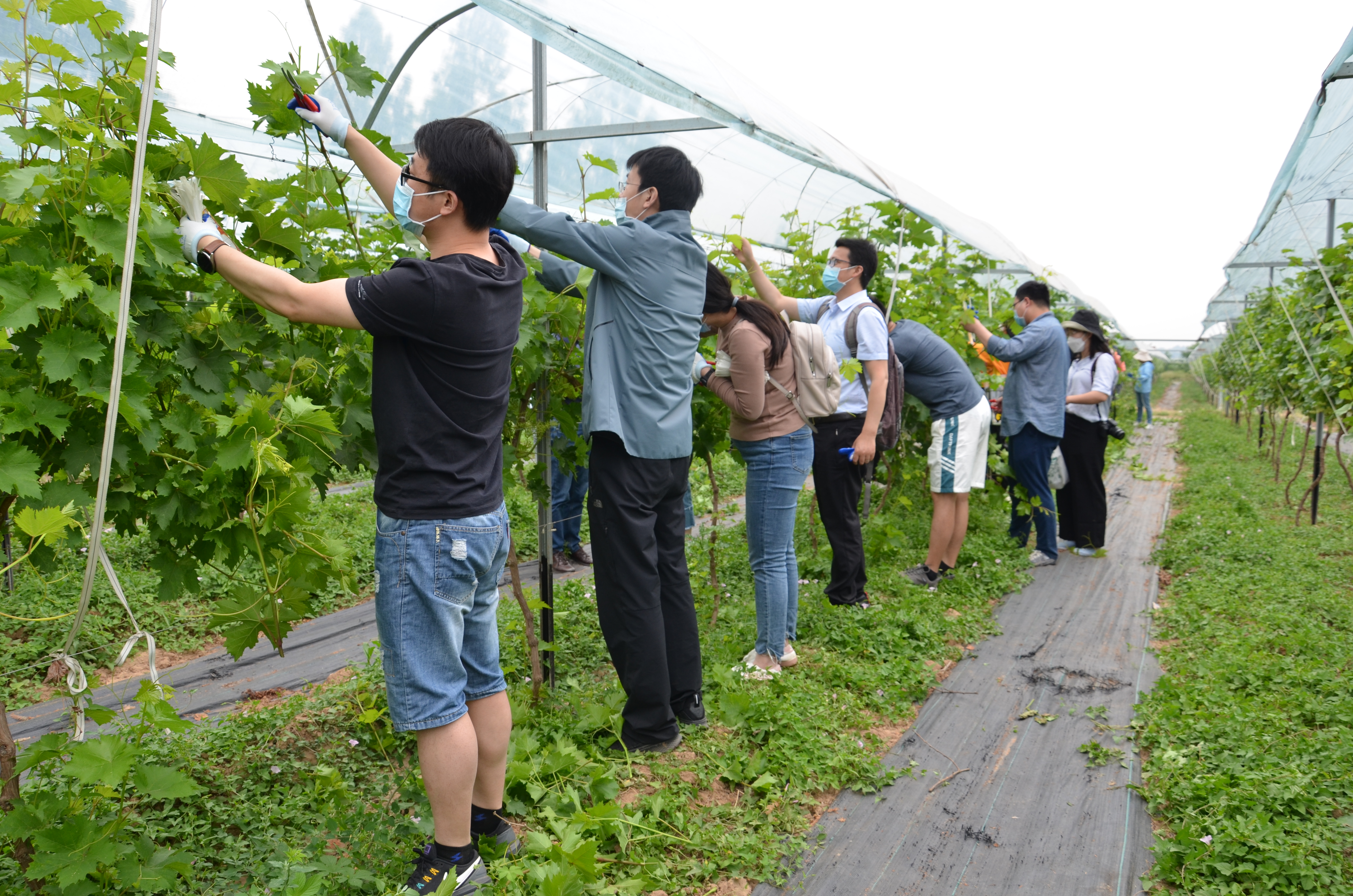 75cf304e28814f70a2d4141a339cc37e.jpg 75cf304e28814f70a2d4141a339cc37e.jpg