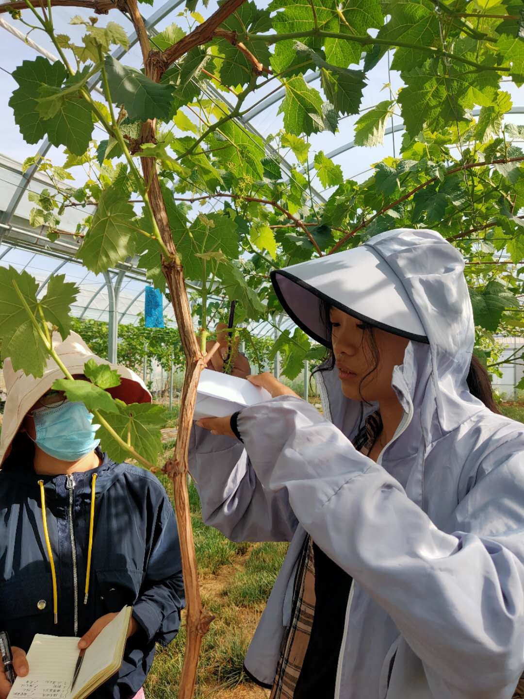 a9d31a2422e54610856eb5996d90313d.jpg a9d31a2422e54610856eb5996d90313d.jpg