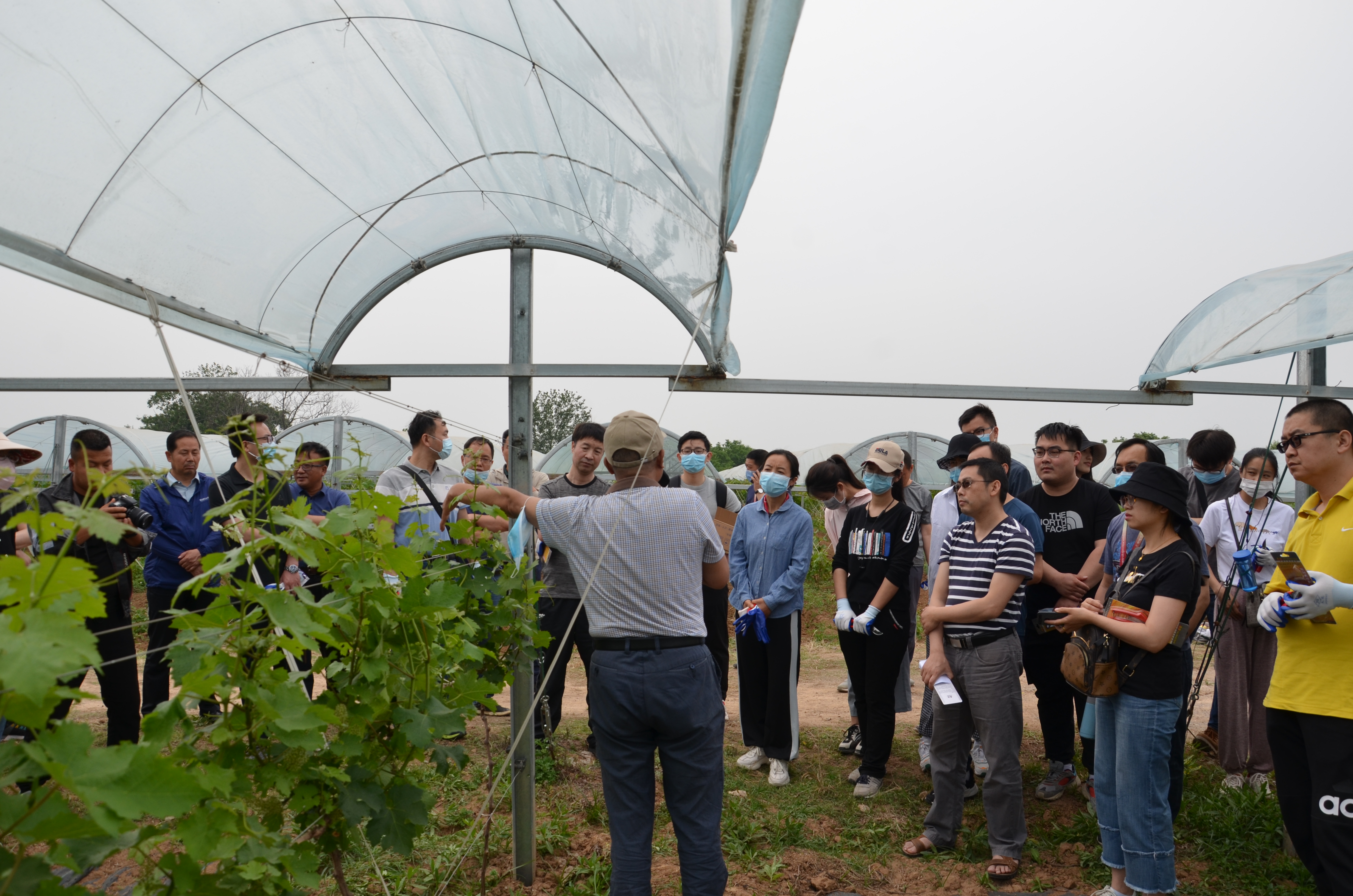 bbd7ea550d054e9183ec7b18c4569fca.jpg bbd7ea550d054e9183ec7b18c4569fca.jpg