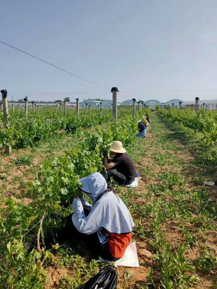 d5106f8667c143228258c3d72c84620f.jpg d5106f8667c143228258c3d72c84620f.jpg