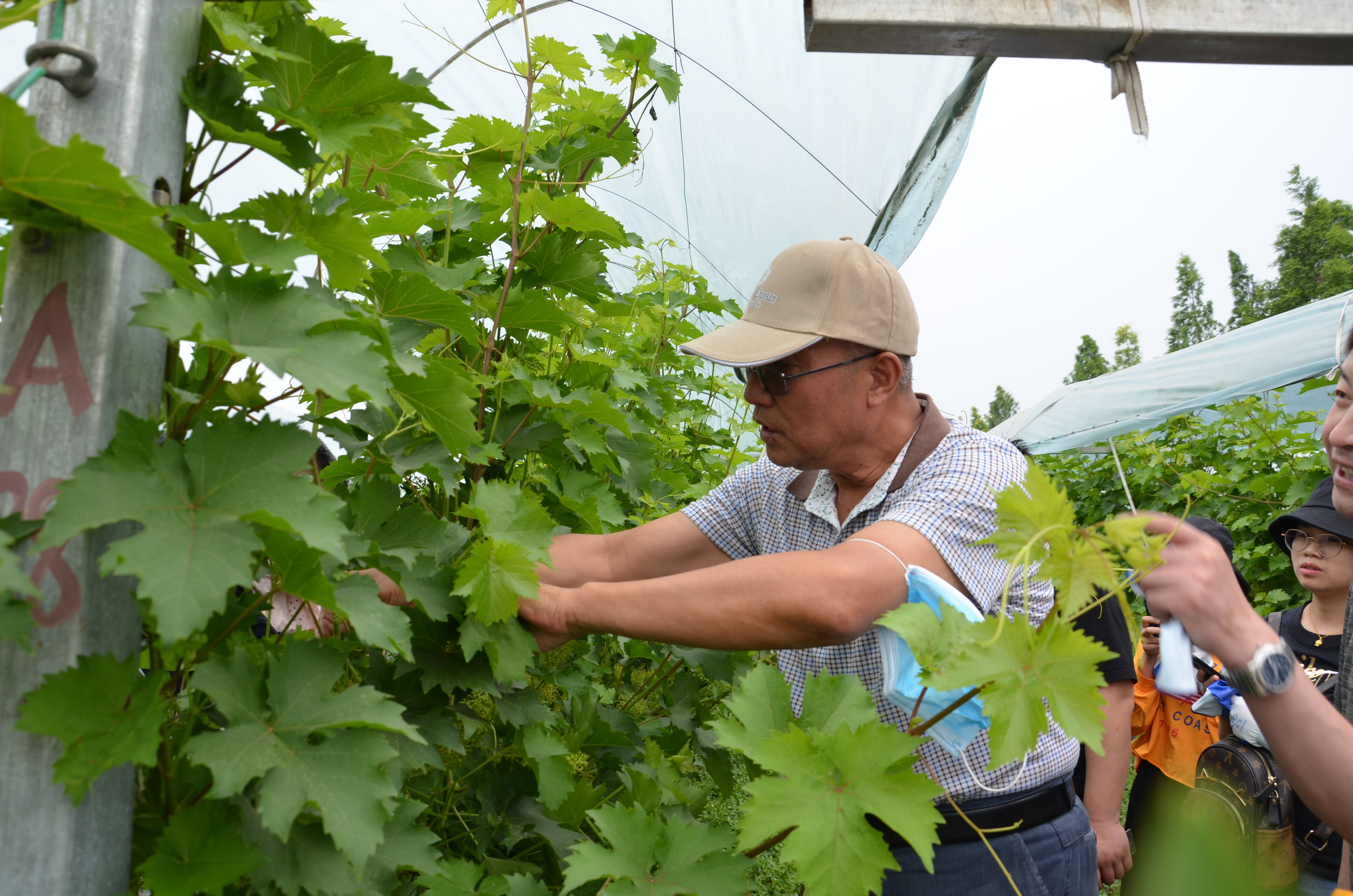 e36bf64a69d3454691452bbe05670dc4.jpg e36bf64a69d3454691452bbe05670dc4.jpg