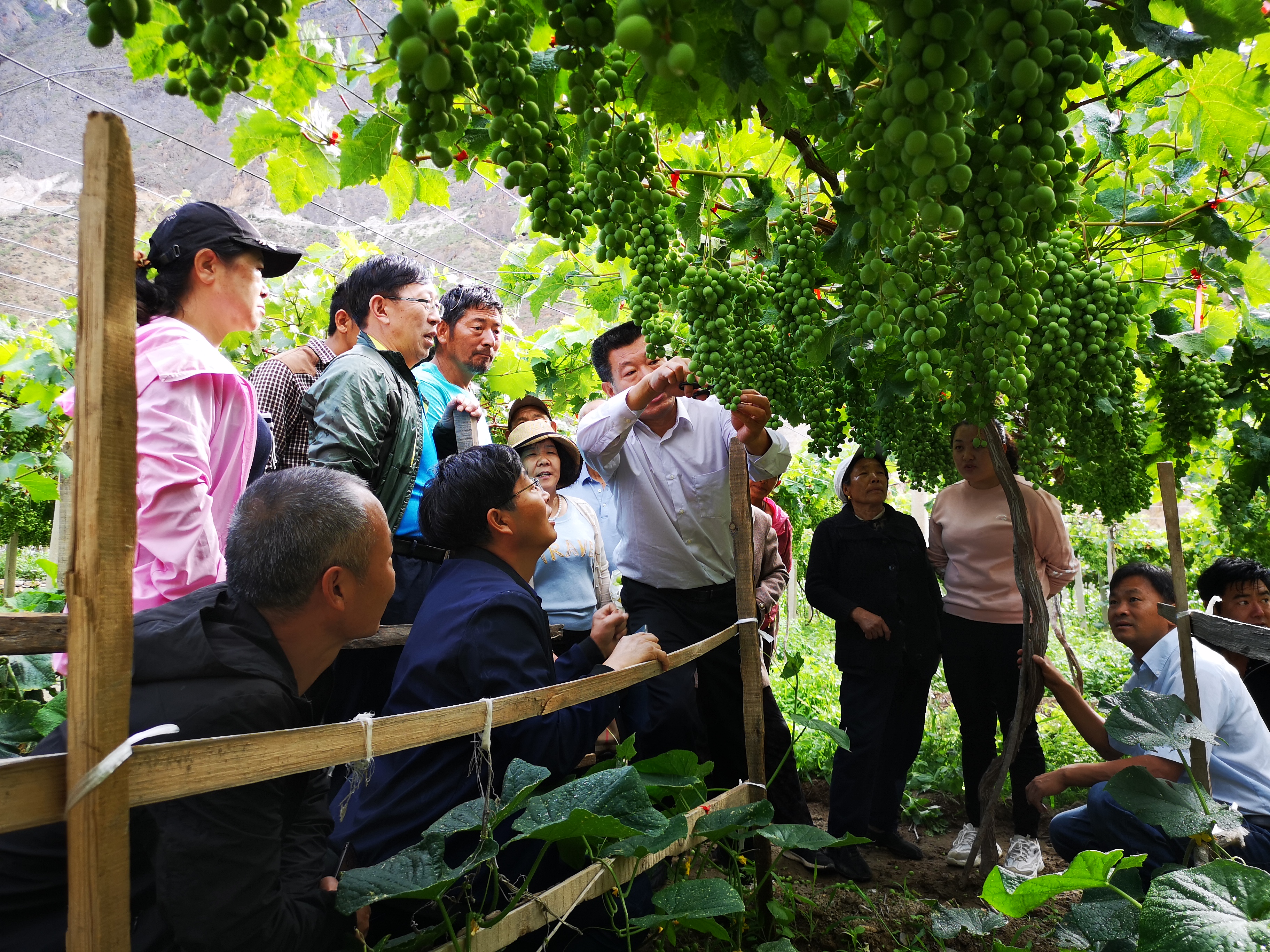 6095c048d2674121aa0ad6ff8281164e.jpg 6095c048d2674121aa0ad6ff8281164e.jpg