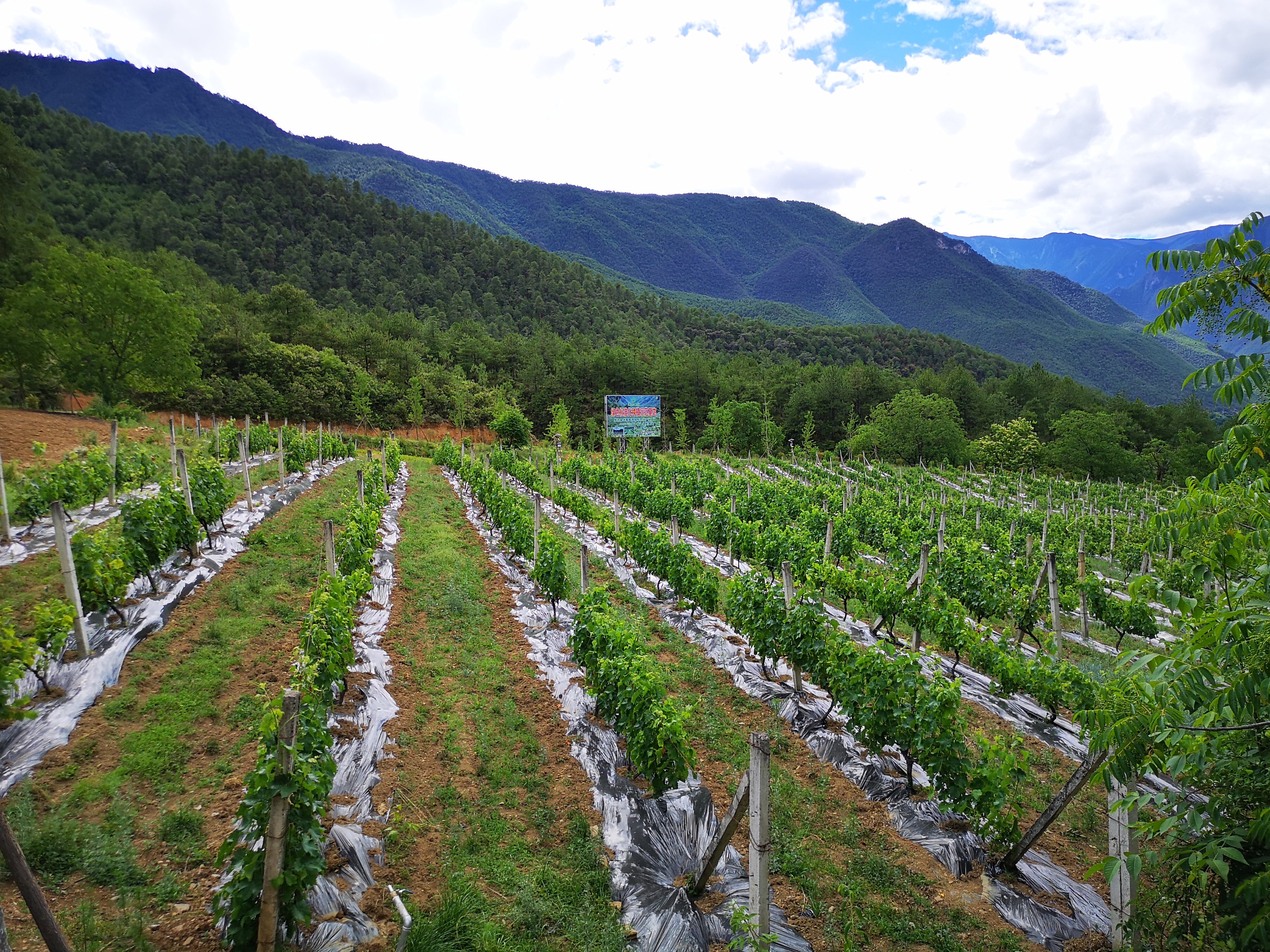 b9d10efbcc474d66b5d578629674c484.jpg b9d10efbcc474d66b5d578629674c484.jpg