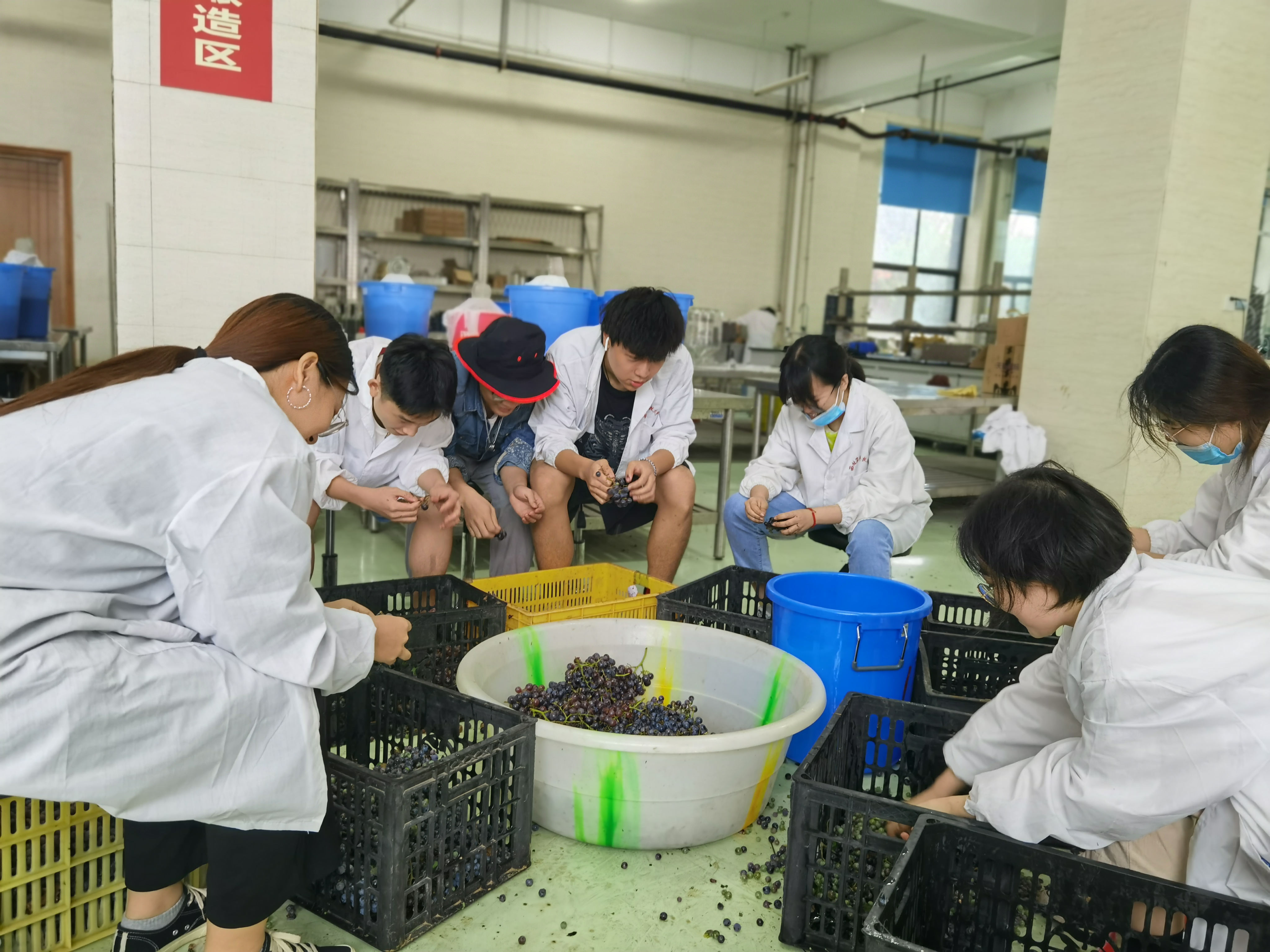 5baf3170df60474eba3bab01bc9005a8.jpg 5baf3170df60474eba3bab01bc9005a8.jpg