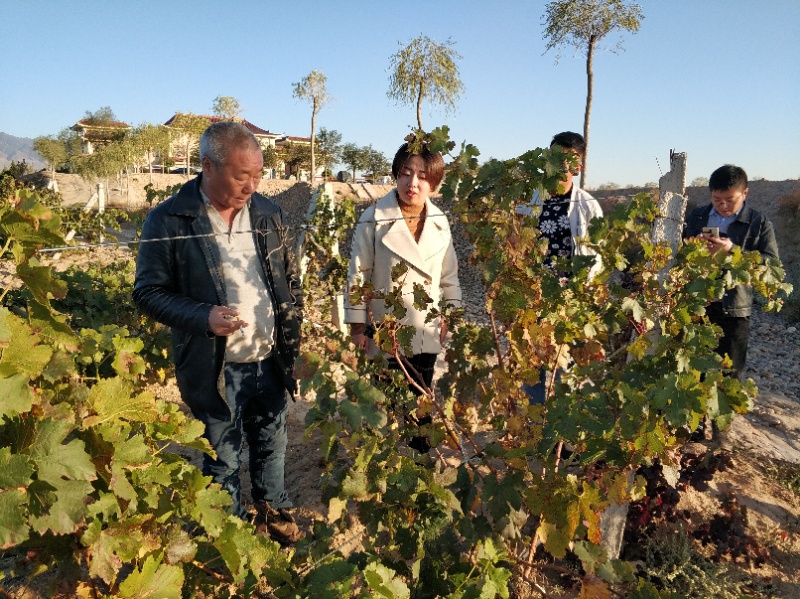 df00f4b56be14bc5b2baf3aa7971e35b.jpg df00f4b56be14bc5b2baf3aa7971e35b.jpg