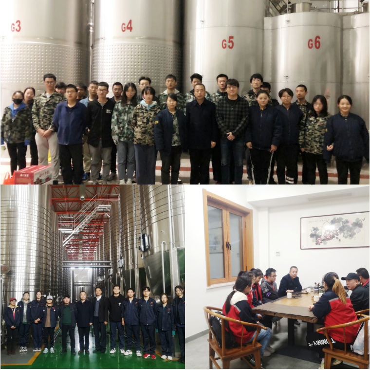 015d91af747c4ce88bc57ee41de4a14c.png 015d91af747c4ce88bc57ee41de4a14c.png