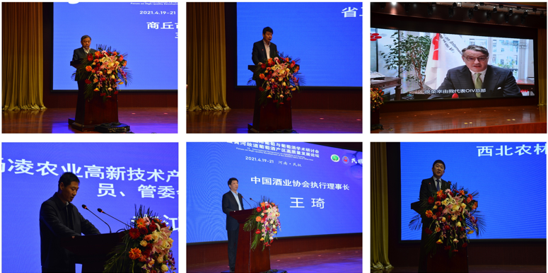 9953e46ecfcc4de38a4c7ca1b3f3ff2c.png 9953e46ecfcc4de38a4c7ca1b3f3ff2c.png