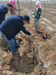 e6c0024ad9b34878b9487df92b470397.png e6c0024ad9b34878b9487df92b470397.png