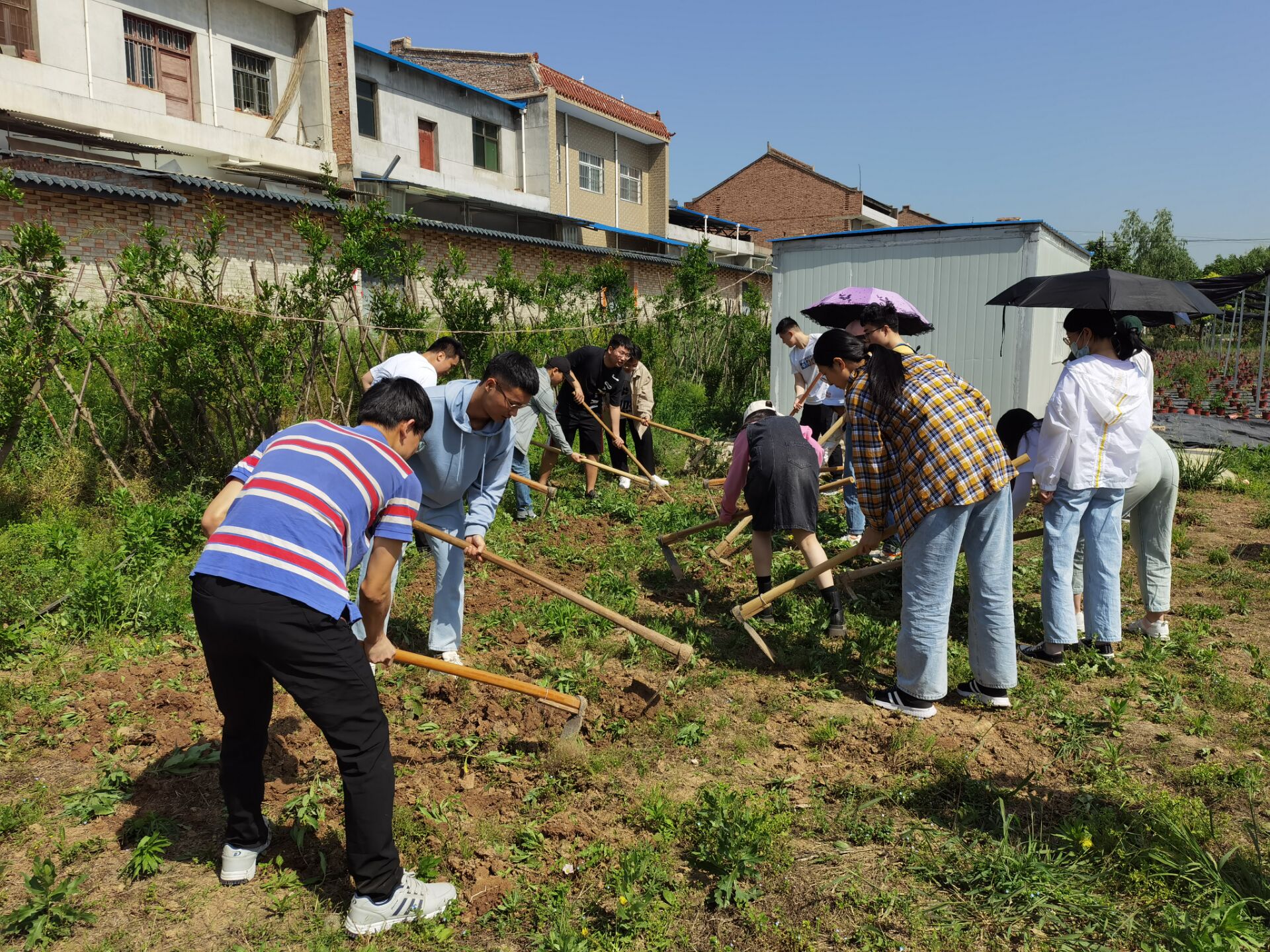 28c393994e8742088b7bc26df49e12a9.jpg 28c393994e8742088b7bc26df49e12a9.jpg