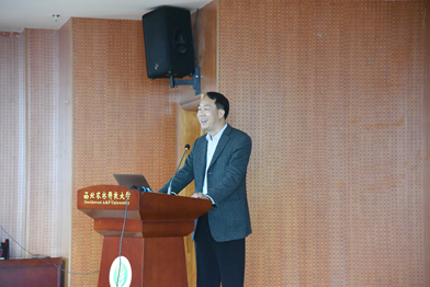 0499acad31cf4f8fad1fe63c1c968cdd.png image.png