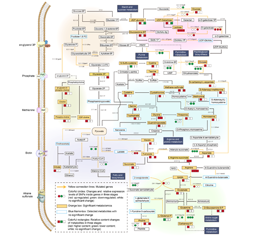 d7a6dc8691ef4b08b6fe16ea90b6ab92.png d7a6dc8691ef4b08b6fe16ea90b6ab92.png