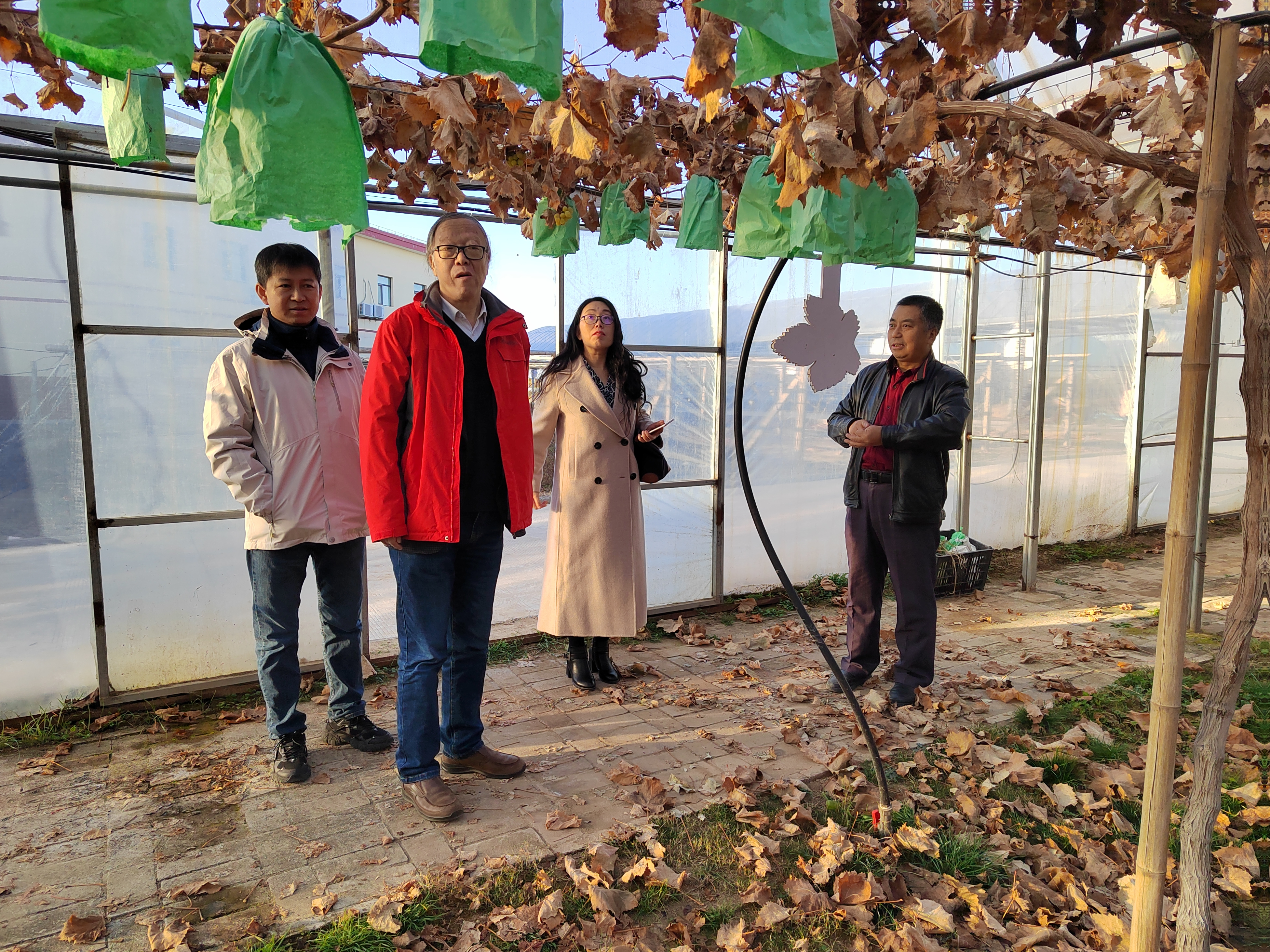 abb35d16a51b40539682dfc5b6c5a960.jpg abb35d16a51b40539682dfc5b6c5a960.jpg