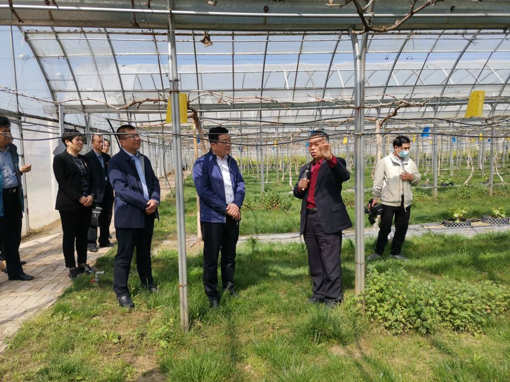 3690f0022ade4085b0f4621eac6f4b41.png 3690f0022ade4085b0f4621eac6f4b41.png