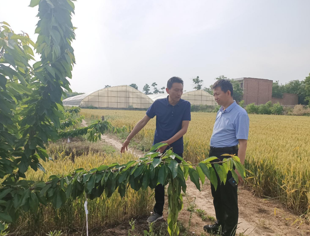 c6e421403437401e9652e5fdfc4f045b.png c6e421403437401e9652e5fdfc4f045b.png