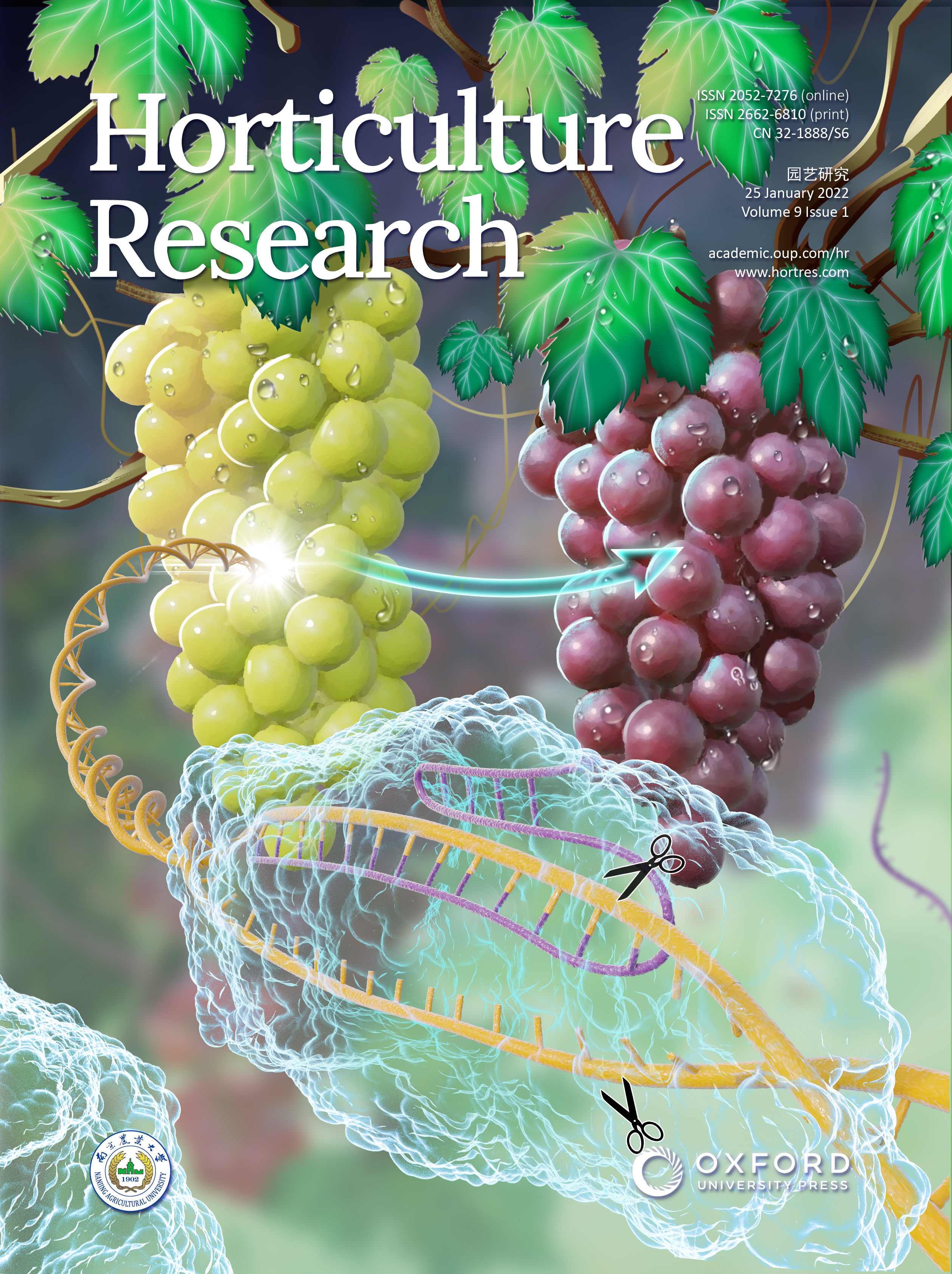 007a0c3d3453441da9d486792a2c1072.jpg 007a0c3d3453441da9d486792a2c1072.jpg