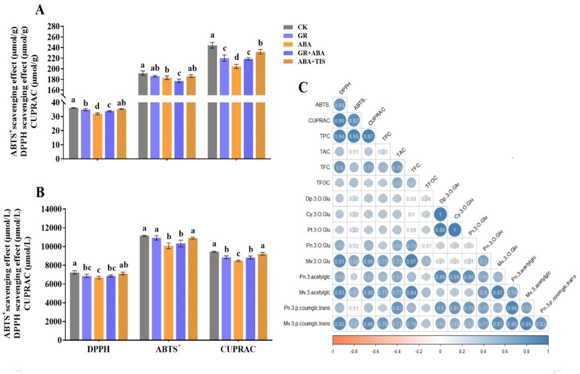 0bdf08a60808459ba0ae1dc3420811b2.jpg 0bdf08a60808459ba0ae1dc3420811b2.jpg