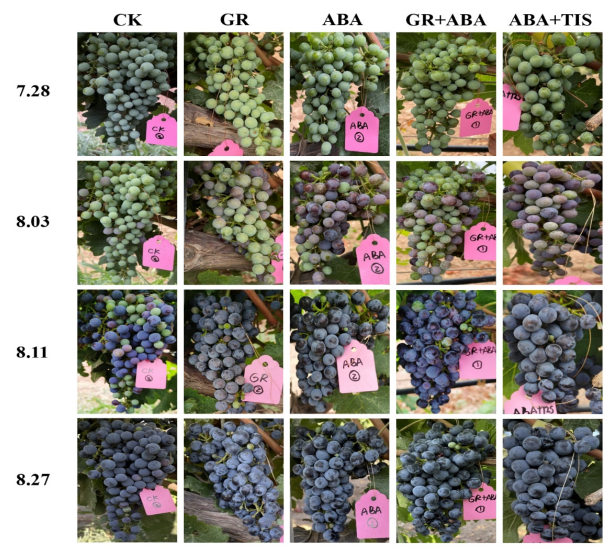 28eb89daf34c47ea8e452b040859786f.png 28eb89daf34c47ea8e452b040859786f.png