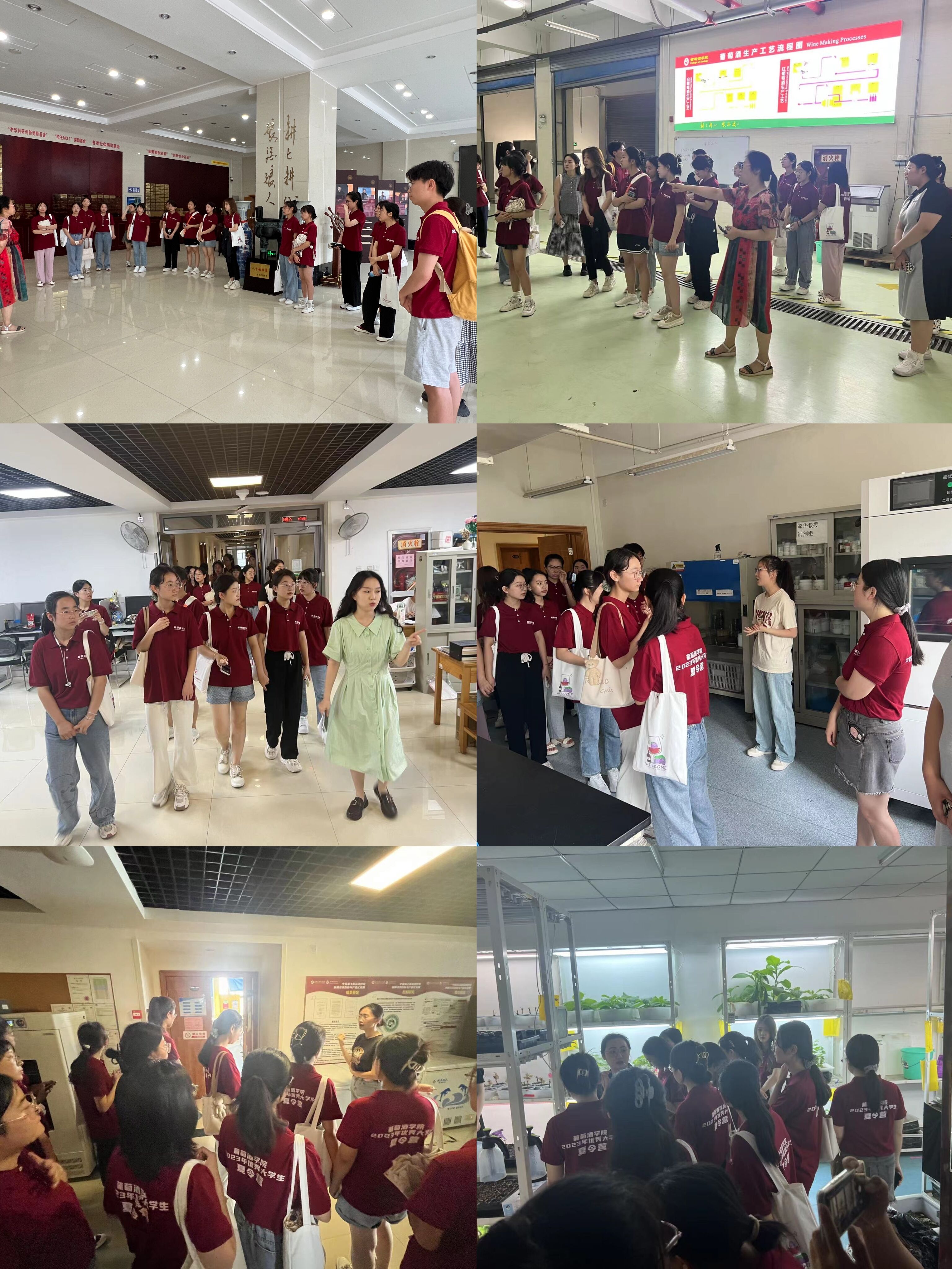 de988d9cb8c24c0f99de9b6835d40d38.jpg de988d9cb8c24c0f99de9b6835d40d38.jpg